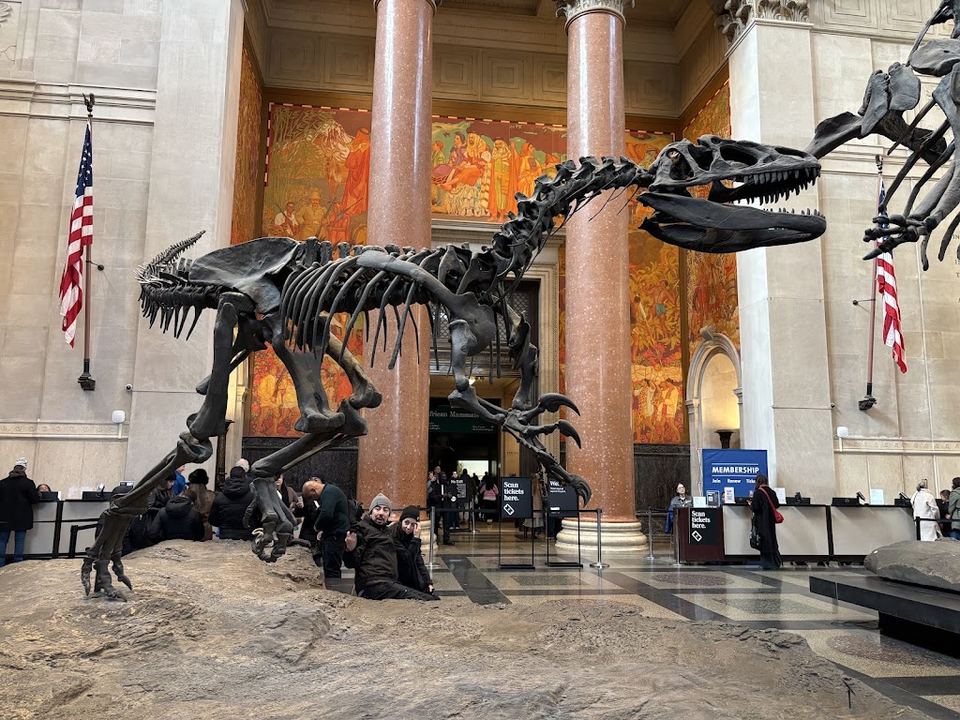 Muséum américain d'histoire naturelle