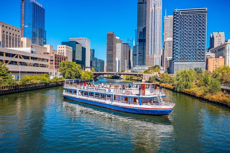 Shoreline Sightseeing