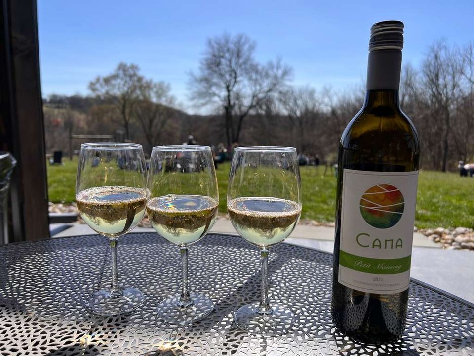 Old Money lux vineyards and spa day in Northern Virginia