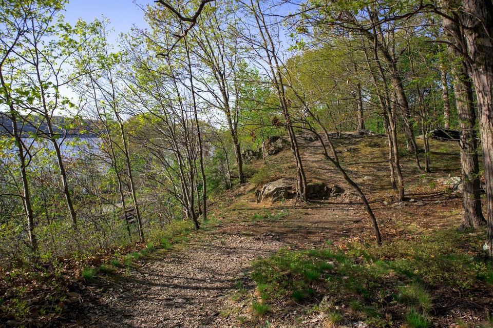 Fern Tor Nature Preserve