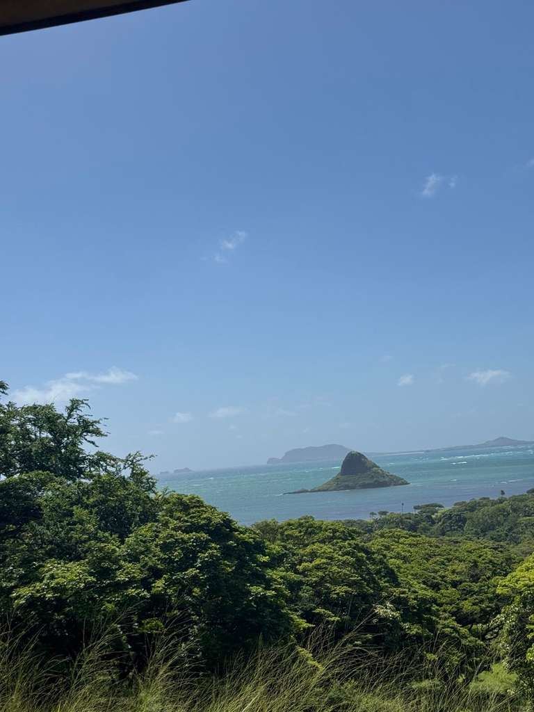 hawaii🌺