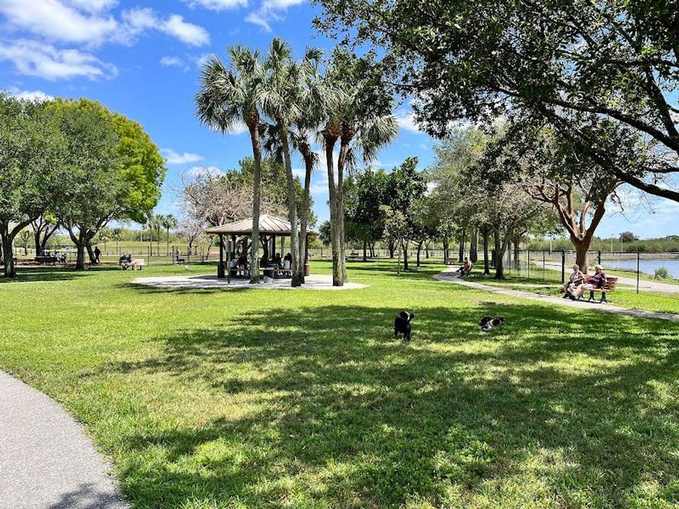 The Best Dog Parks In & Around Boca Raton