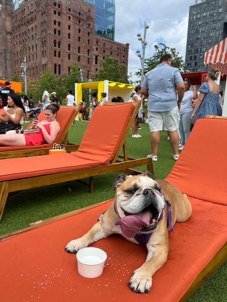 The best park in NYC - Domino