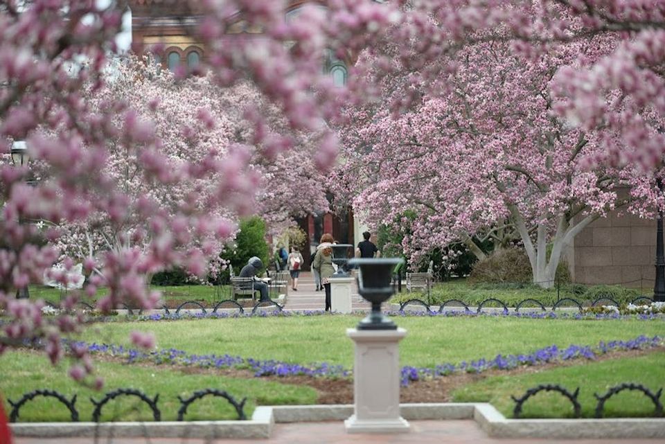 The Moongate Garden