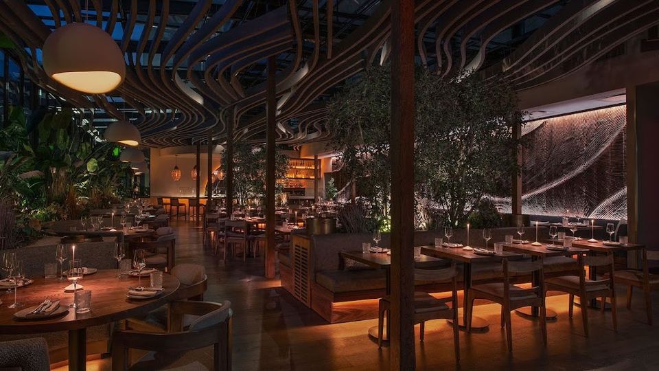 Mēdüzā Mediterrania New York