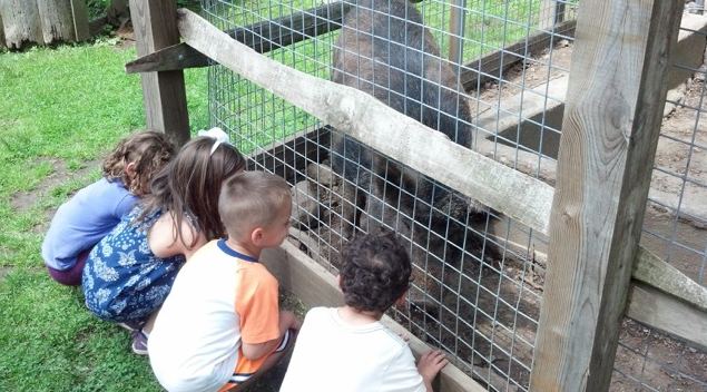 Dalby Farm