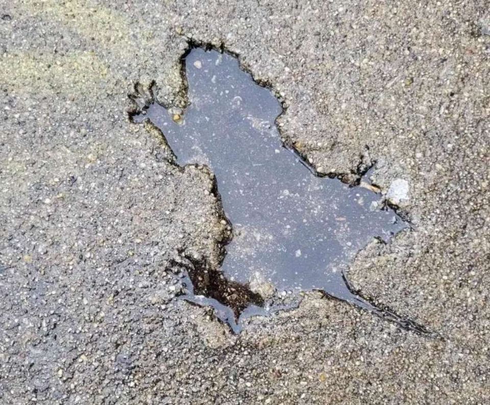 Chicago Rat Hole