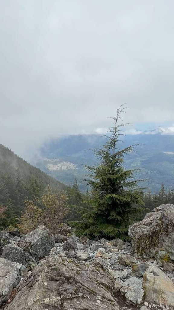 The Best Day Hikes Near Seattle 🏔️
