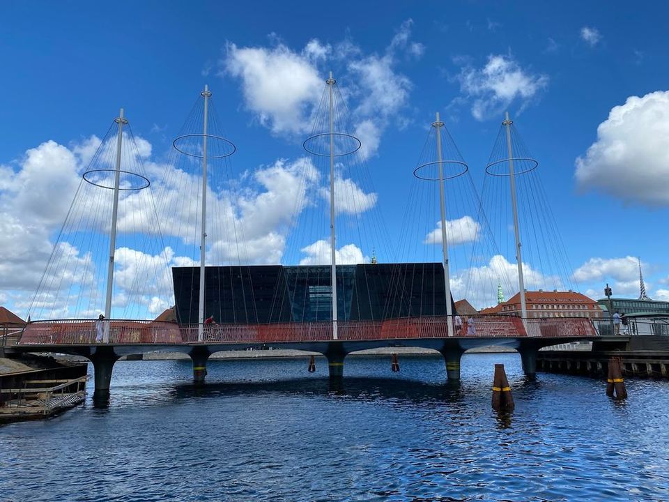 Copenhagen Bike Adventure: Two Wheels, Zero Chill Required
